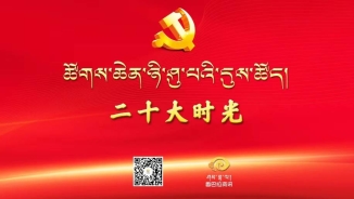 二十大时光